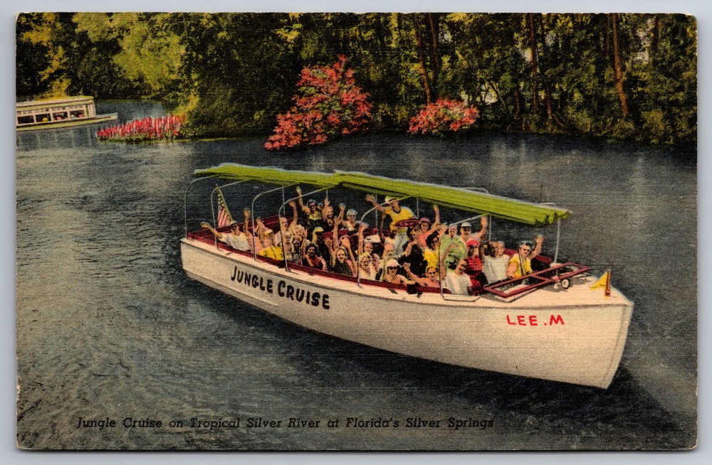 Jungle Cruise Silver River Springs FL Sightseeing Boat Ride C1950s Postcard AA24