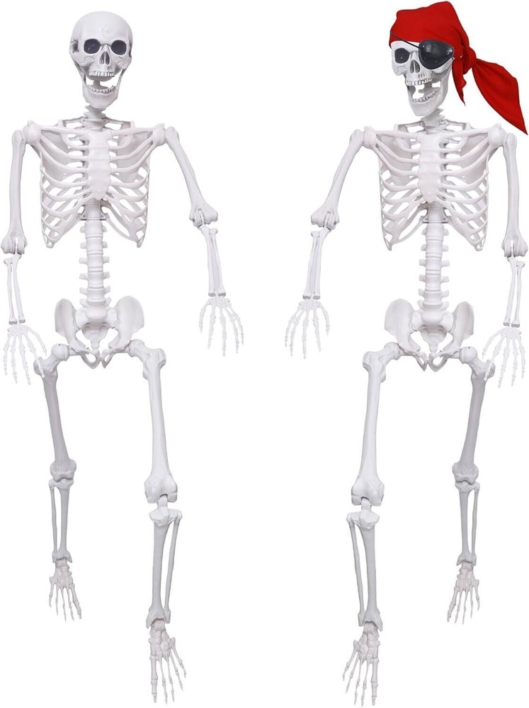 2 Pack 5.4Ft Halloween Skeletons Posable Skeletons Life Size Full Body Bones wit