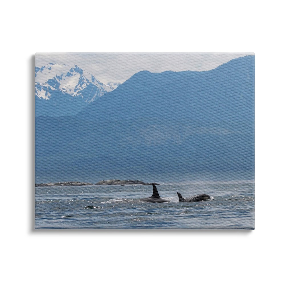 Stupell Killer Whale Fines Ocean Mountain Peak Landscape