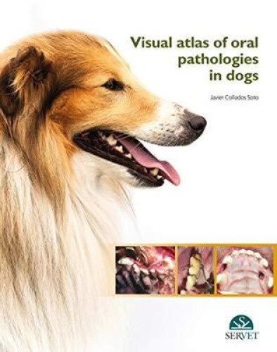 Explore Oral Pathologies in Dogs with Javier Collados Soto's Visual Atlas-image