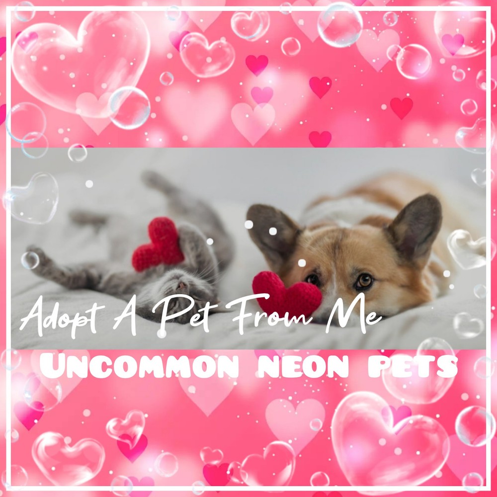 Adopt My Rare Cheap Neons Today 🌸 Uncommon Pets For Sale 💰💕