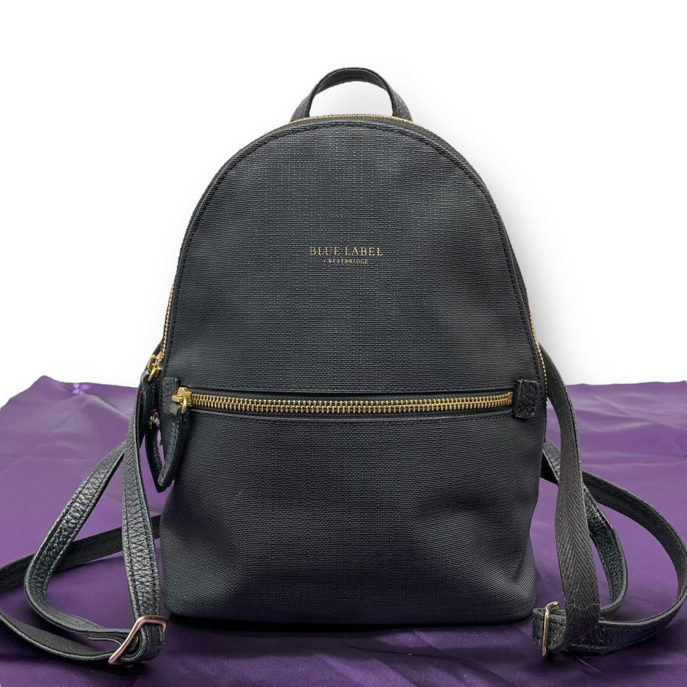 BLUE LABEL With logo Partial Check Backpack · Daypack black PVC/leather
