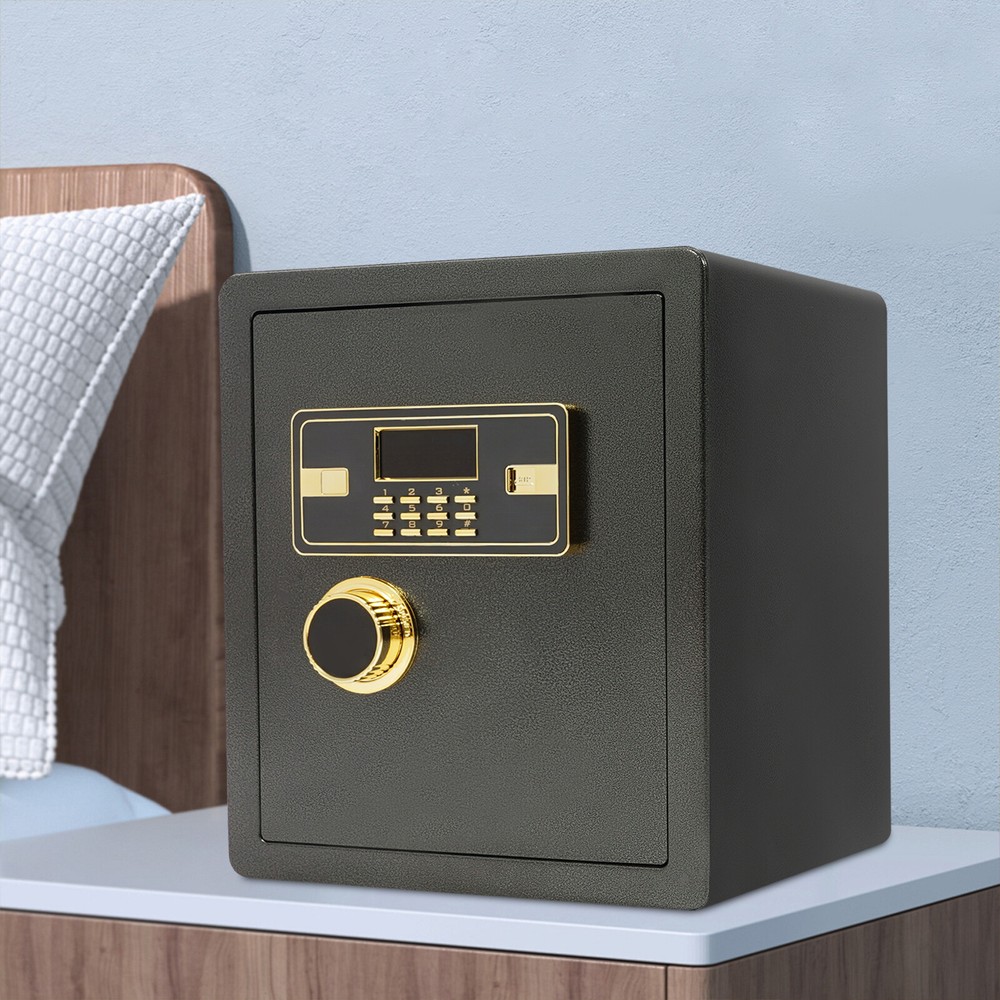 Biometric Safe Box Security Home Office Hotel Fireproof Waterproof-image
