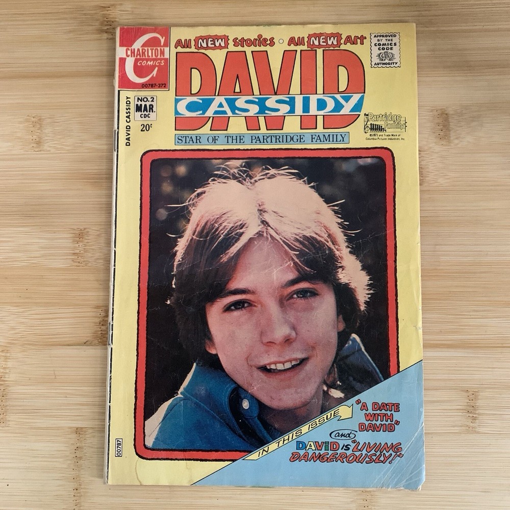 Charlton Comics DAVID CASSIDY #2 Star Of The Partridge Family 1972 Good
