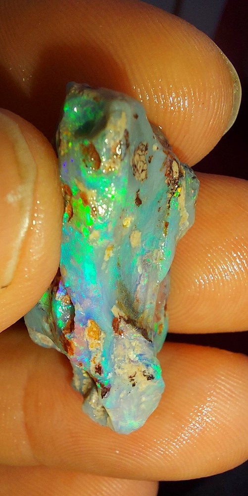 19.42ct Black Opal Tree Bark Plant Fossil Natural mined Electric Lightning Ridge