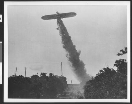 Airplane Crop-Duster Spilling Clouds Of Insecticide Onto Crops 193 - Old Photo