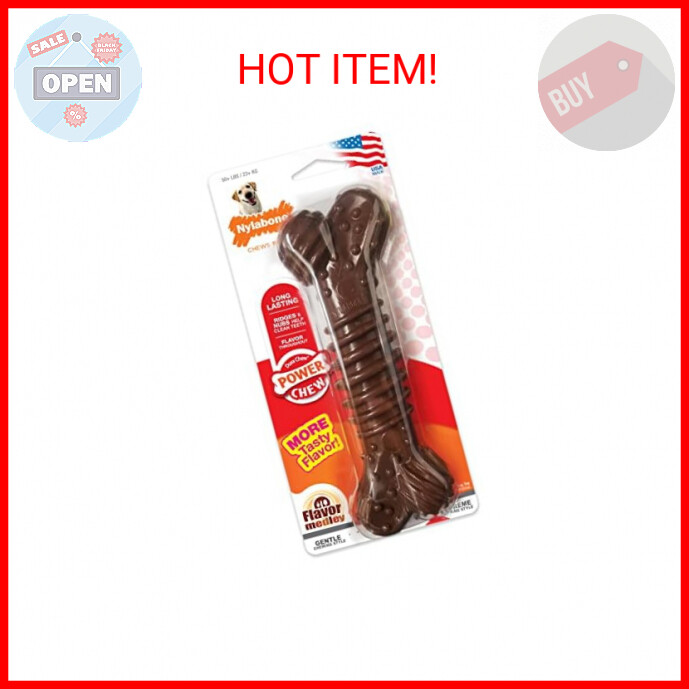 Nylabone Power Chew Textured Bone Chew Toy, Dog Toys for Aggressive Chewers, Fla