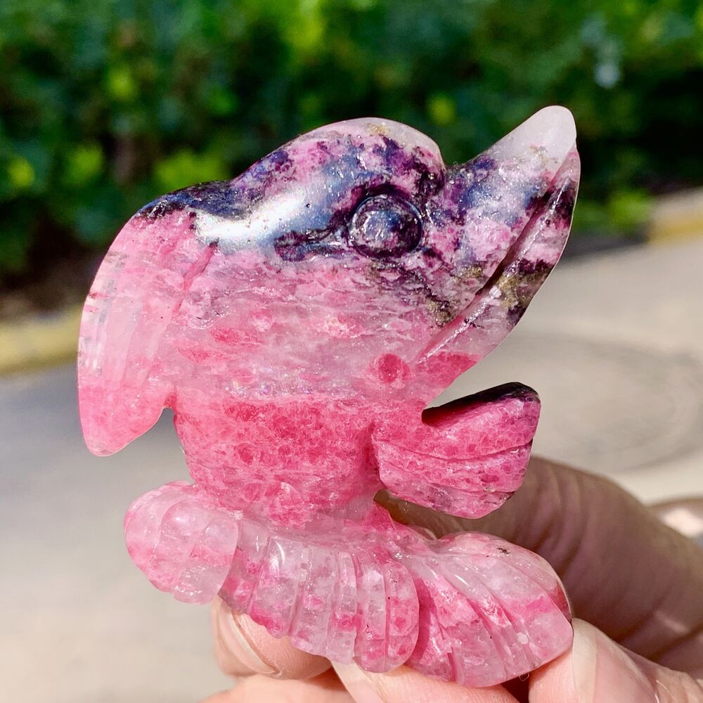 67G Natural Pink Rhodonite Quartz dolphin Carved Crystal Statue Animal Gift