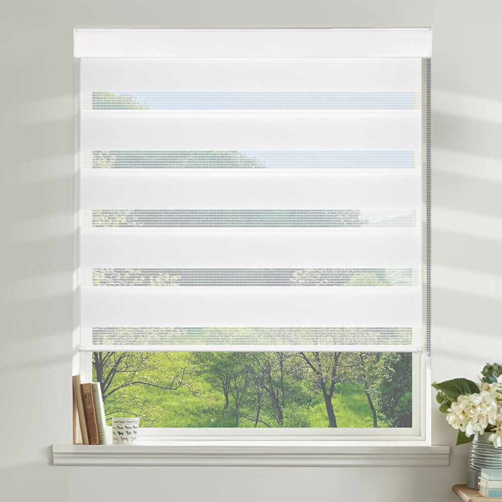Allesin Zebra Blinds for Windows Roller Shades Dual Layer Privacy Protection