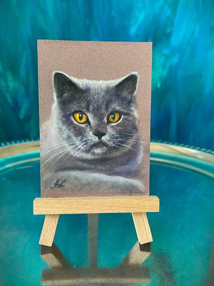 Original Pastel British Shorthair Cat Drawing in ACEO Format