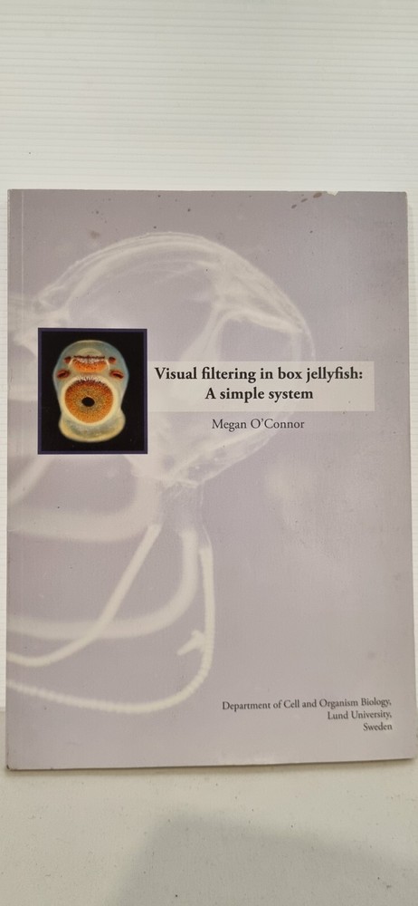 Box Jellyfish Visual Filtering System by Megan O'Connor Peer Reviewed-image