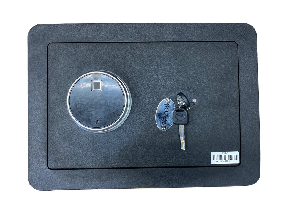 Biometric Safe-image