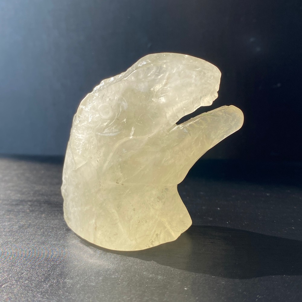 Natural Citrine Quartz Dinosaur Skull Hand Carved Healing Crystal 102g