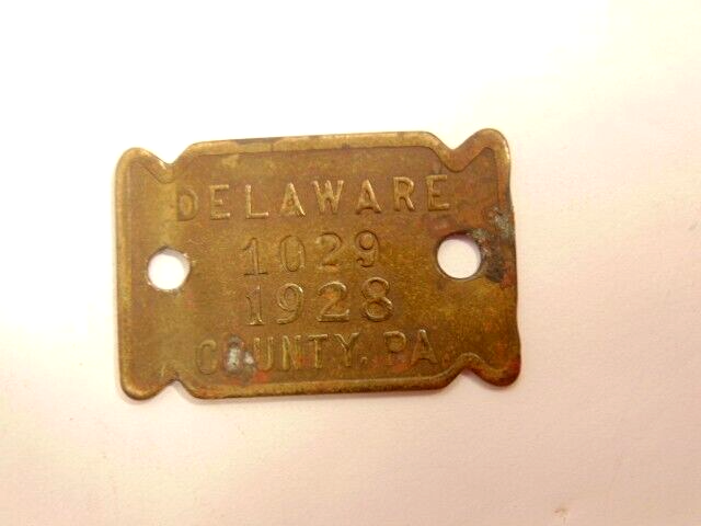 vintage 1928 Delaware County, PA dog tag
