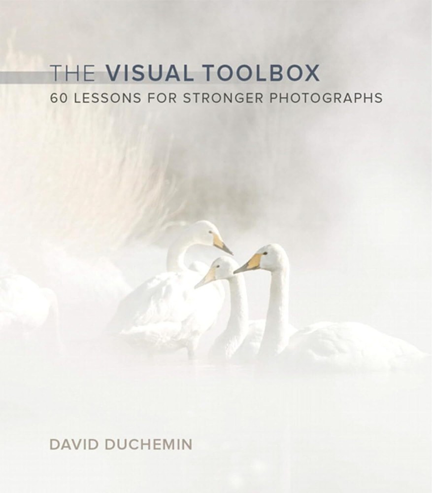 Visual Toolbox The: 60 Lessons for Stronger Photographs  by David duChemin-image