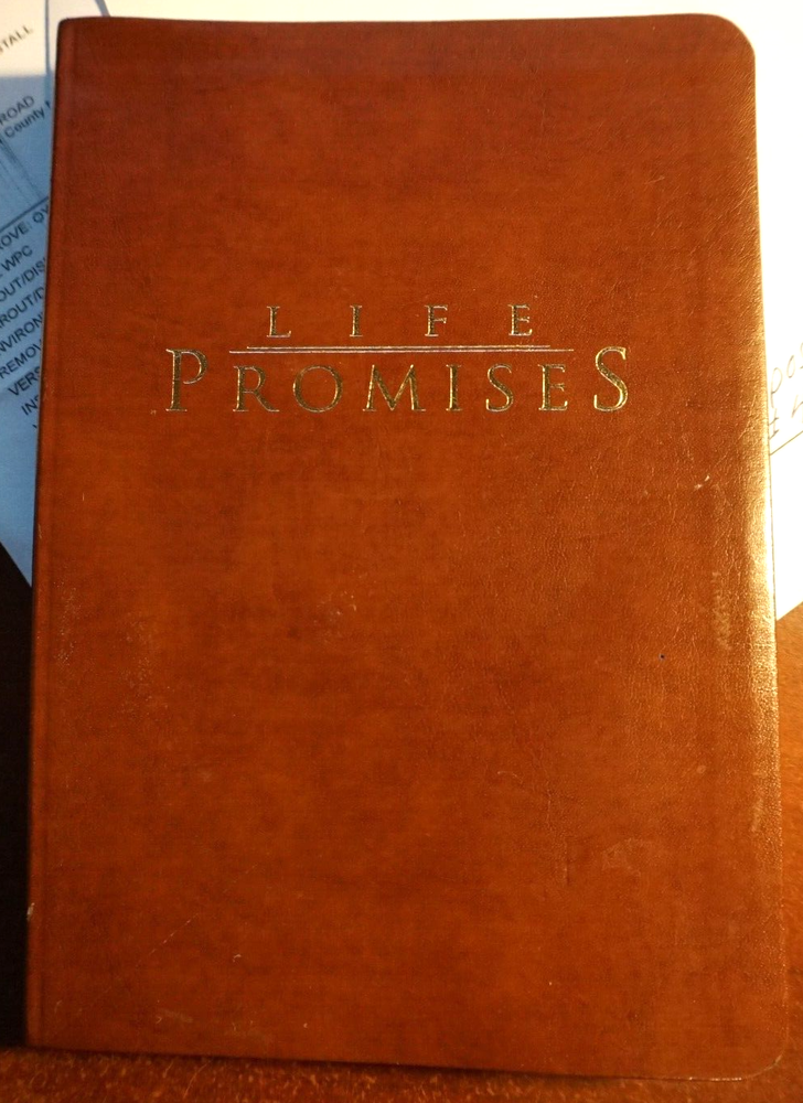 Leather Bound Life Promises Journal Blank Unlined Gift