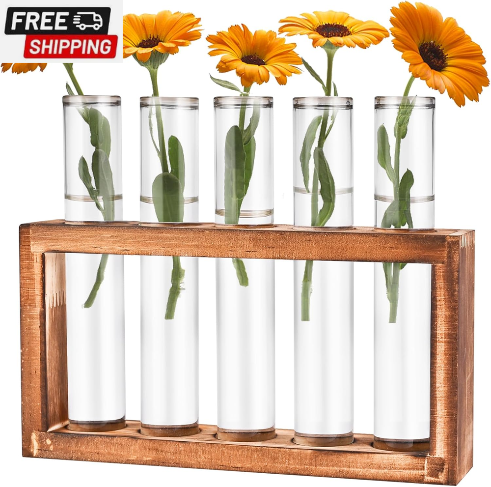Desktop Glass Plant Propagation Station with 5 Test Tubes in Wooden Stand - Hydr