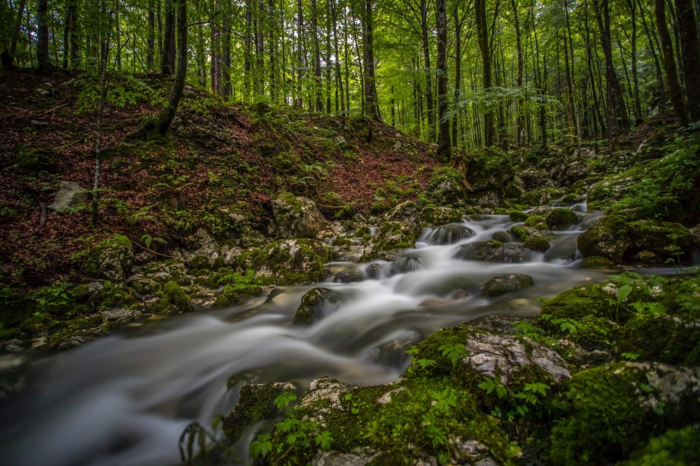 High-quality digital photo prints for lasting memories