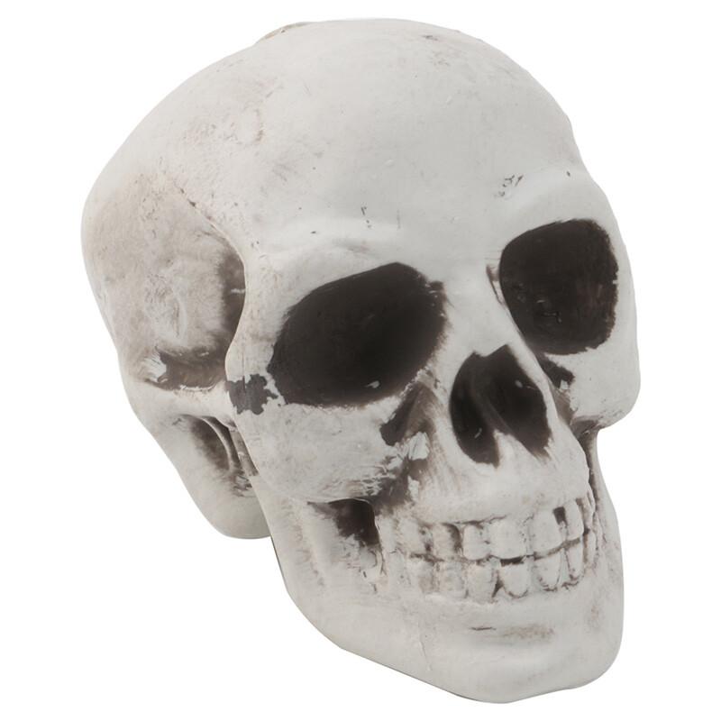 Mini Plastic Human Skull Decor for Halloween Coffee Bars Skeleton Prop