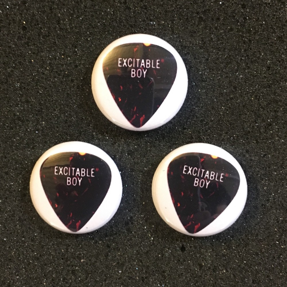 Warren Zevon Excitable Boy Buttons Badges Pins 1978 Guitar Pick Image (Set Of 3)