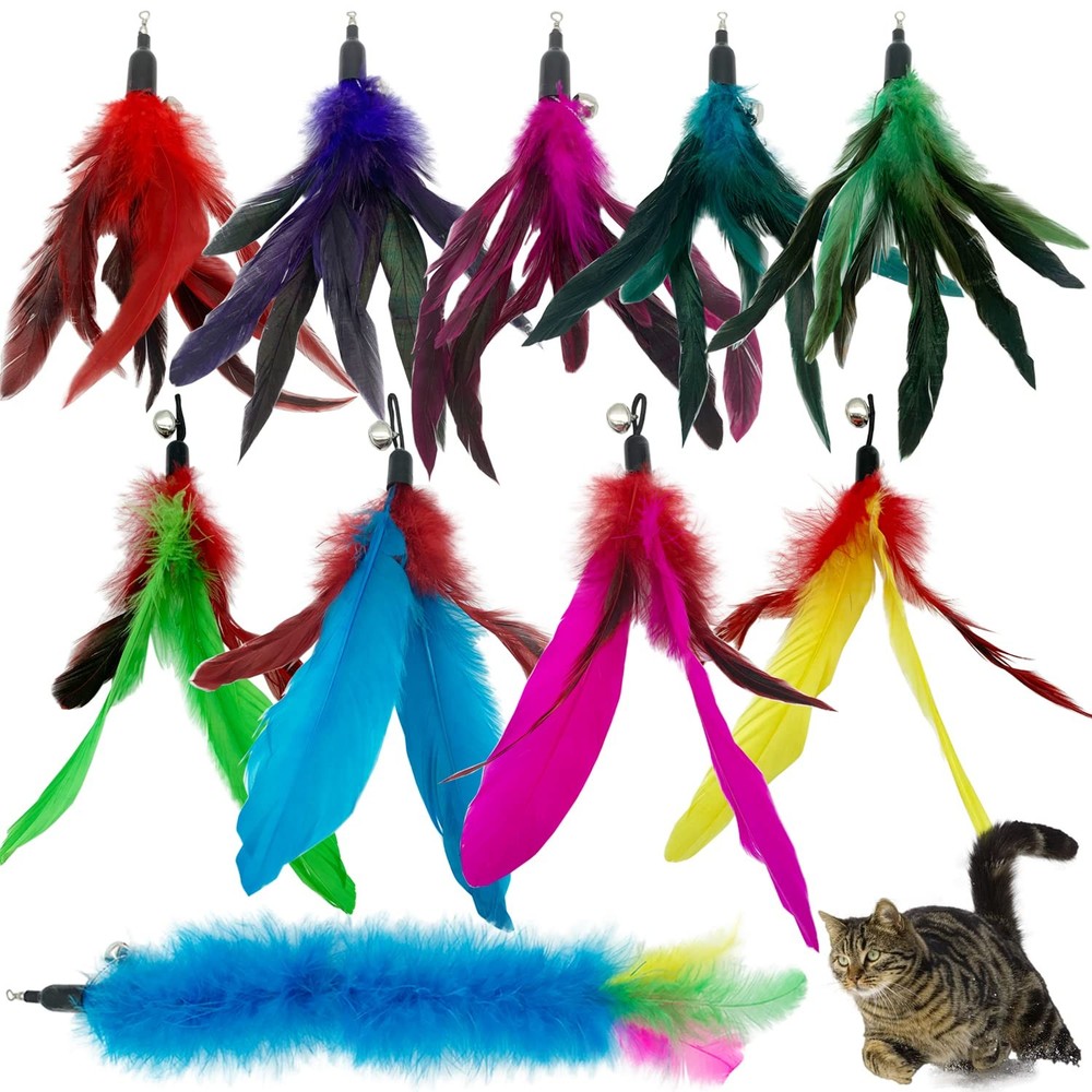 Cat Feather Toys Refills Cat Wand Replacement Feathers 10 PCS Feather Cat Toy...