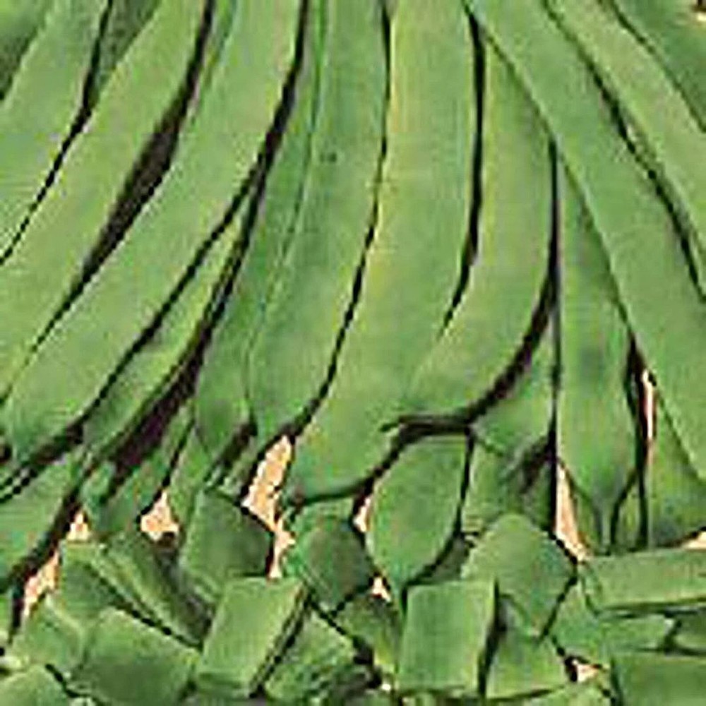 Romano 14 Bush Beans Seeds (More Heirloom Organic Non GMO Vegetable Fruit Herb F