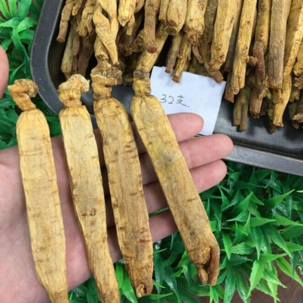 10-Year Dry Korean Red Ginseng Root Natural Panax Health Boost