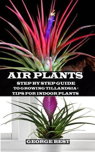 George Best Air Plant (Paperback)