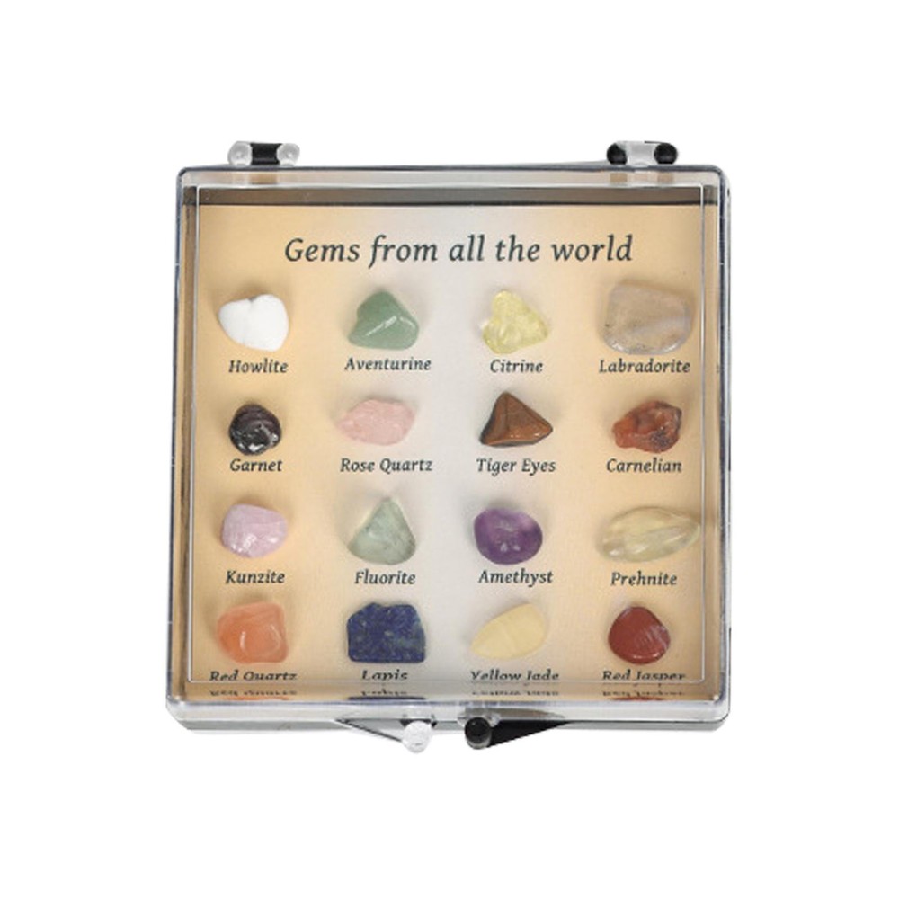 Natural Rock and Mineral Collection Set for Kids Educational Learning