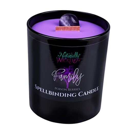 Spellbinding Candle with Crystal, Wood Wick & Gift Box Family