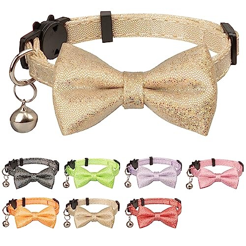 Sparkly Champagne Cat Collar with Bow Tie and Bell for Parties