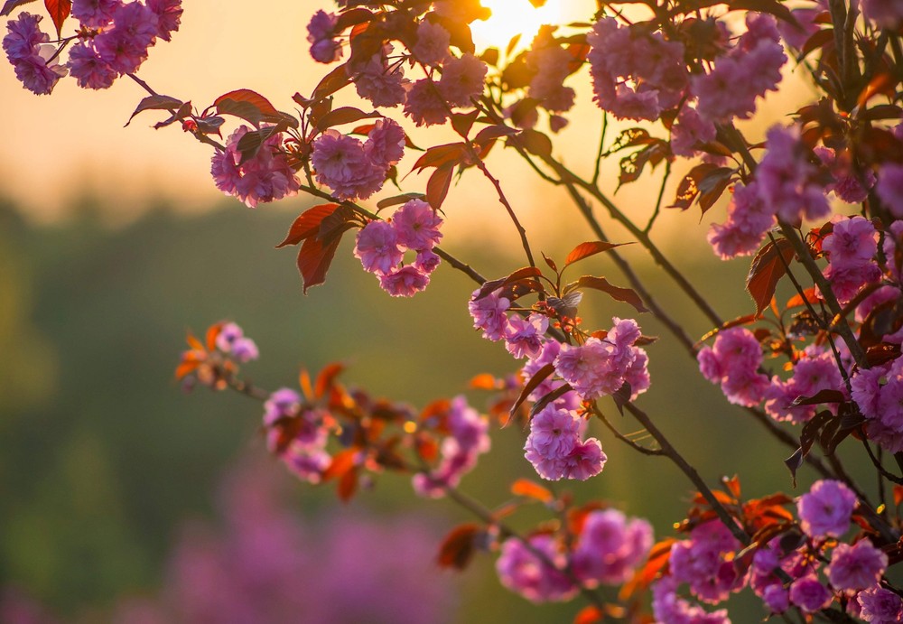 High-quality digital photo prints