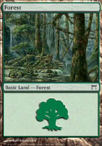 FOREST #305 X4 4 4X Champions of Kamigawa MTG Magic the Gathering Cards DJMagic