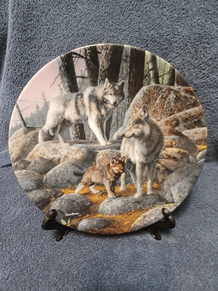 A New Future, Call of the Wilderness # 8, Kevin Daniel, EM Knowles China