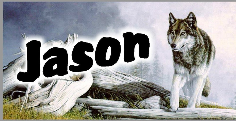 Custom Monogrammed Wolf Design License Plate for Cars-image