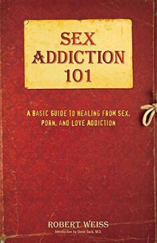 Sex Addiction 101 : A Basic Guide to Healing from Sex, Porn, and Love ...
