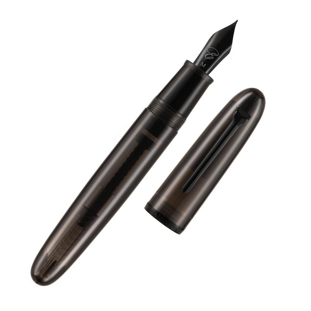 Transparent Fountain Pen – Smoth Writing Nib – Includes Ink Converter & Luxur...