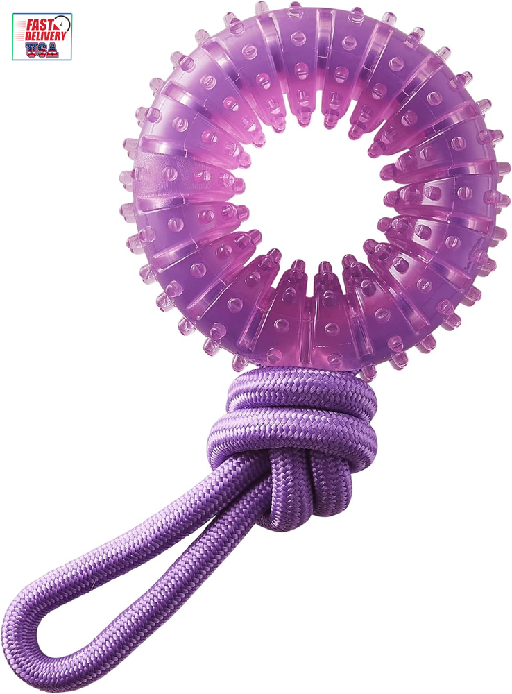 2-In-1 Dental Chew Wheel Dog Chew Toy and Tug Toy, Purple