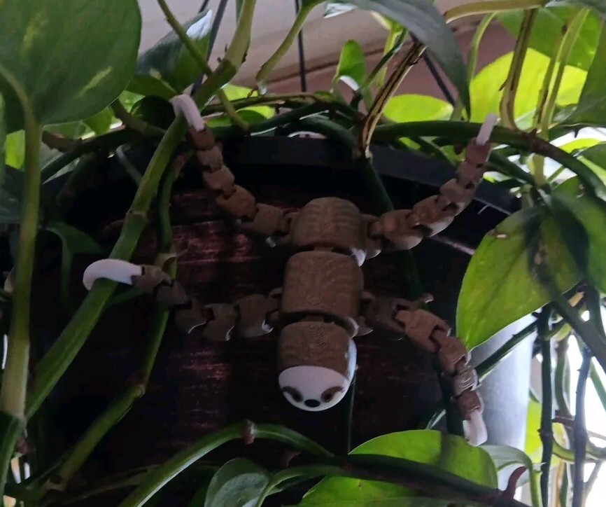 Hanging Plant Sloth 5