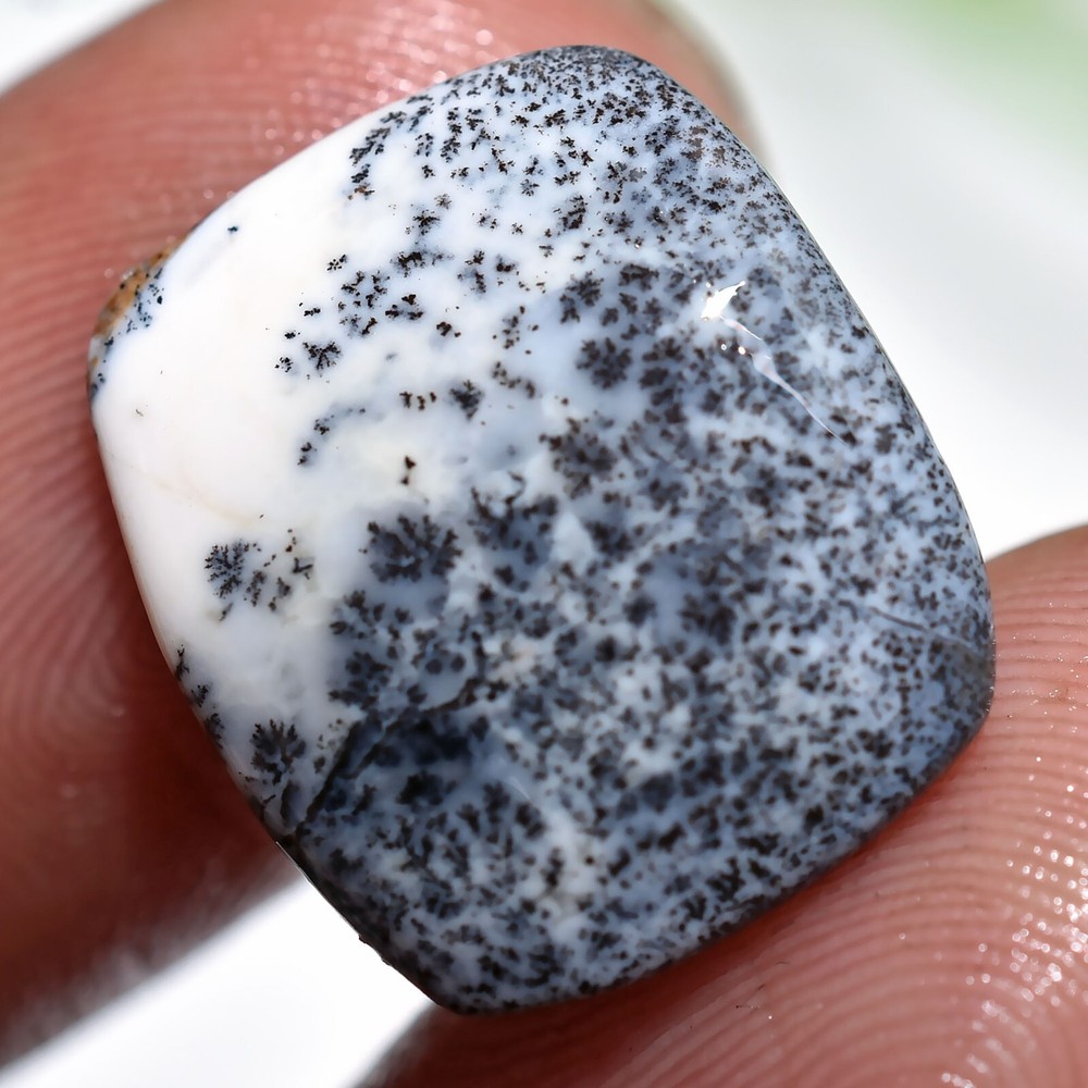 Natural Dendrite Opal, Genuine Unique Gemstone, Smooth Polish Flat Back Cabochon