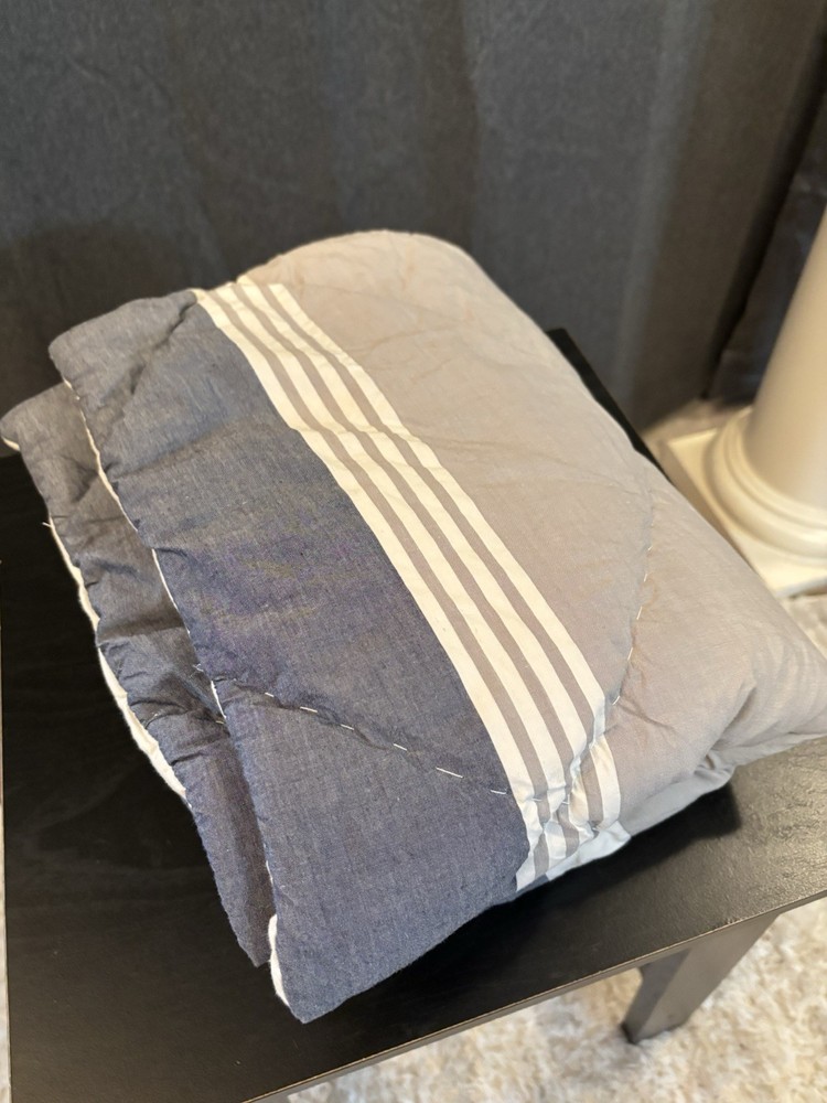 Pottery Barn Teen Beachstone Stripe Standard Shams Set of 2