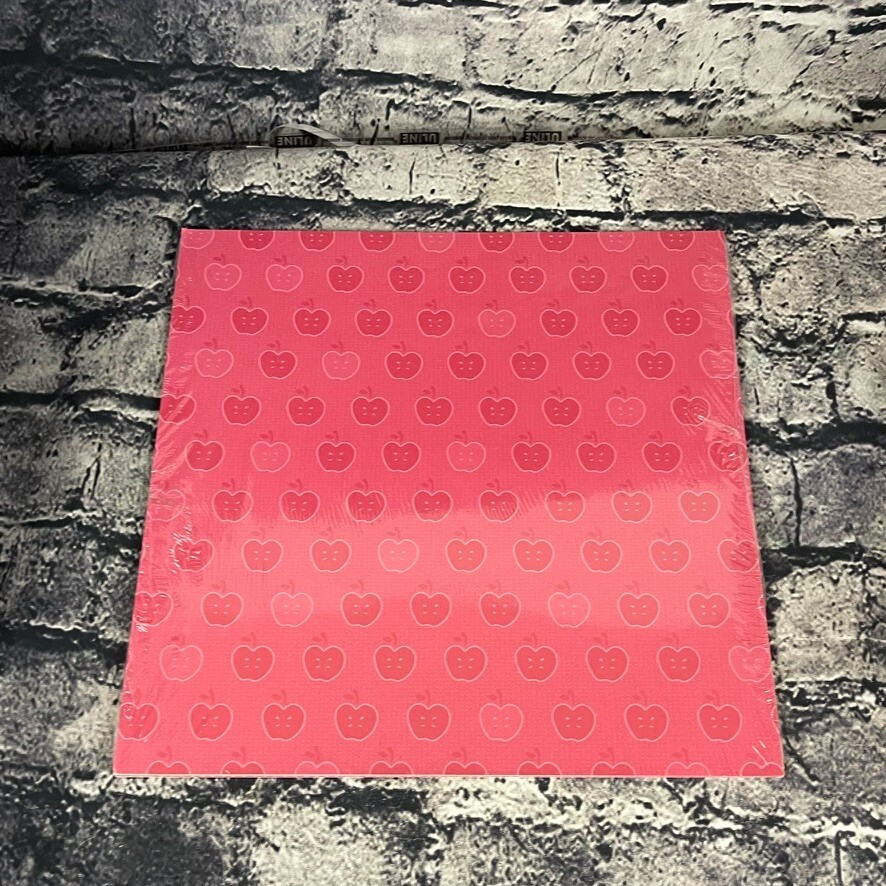 Stampin Up SUMMER PICNIC 12X12 Designer Series Paper #111355