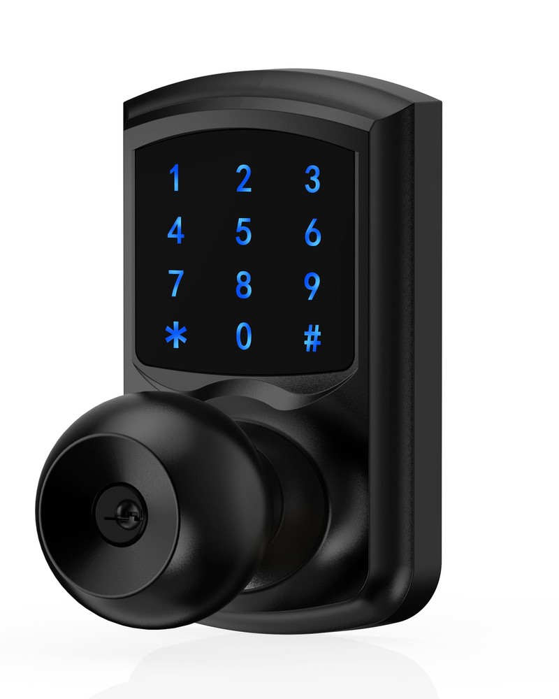 Smart Keyless Entry Door Lock with Keypad Handle & Touchscreen  