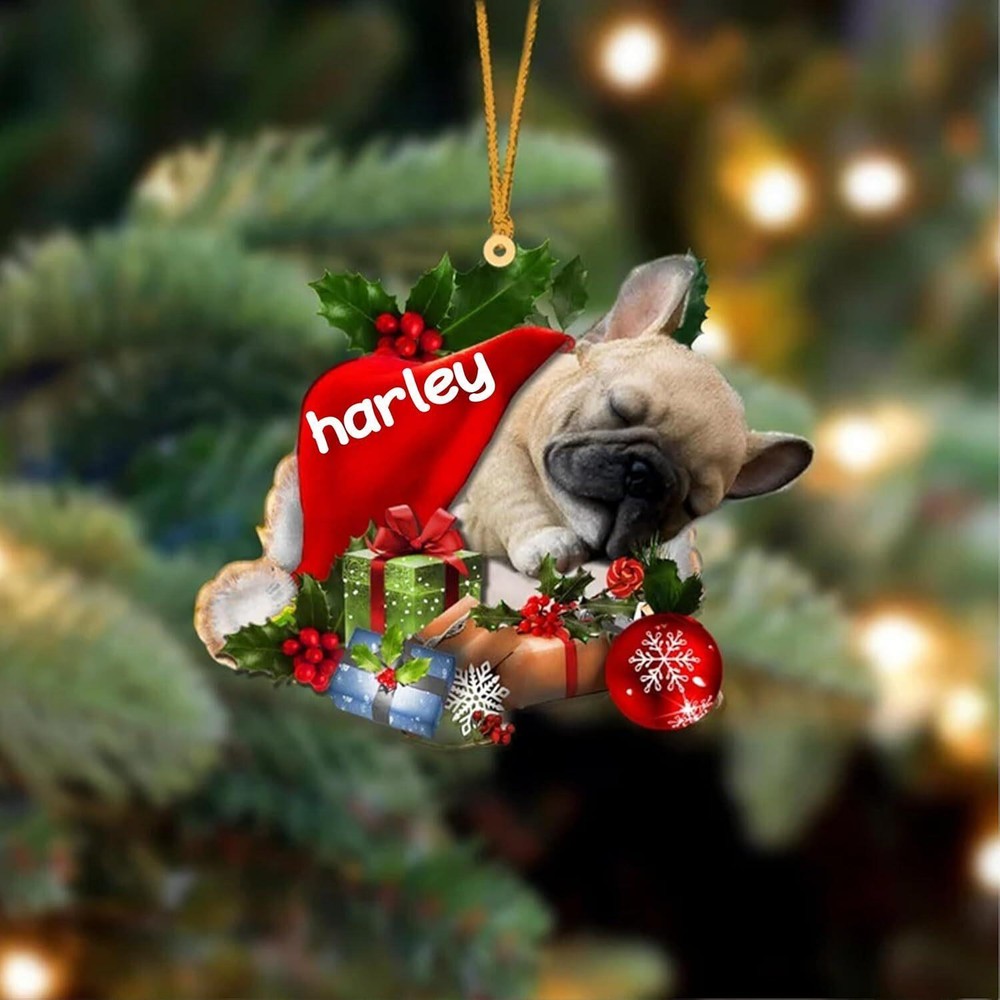 Holiday With Pets - Personalized Custom 1-layered Acrylic Ornament 2024