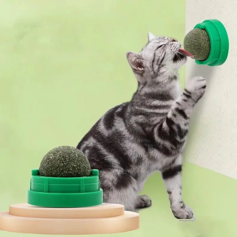 Catnip Cat Wall Stick On Ball Toy Natural Treat Digestive Cat Snack