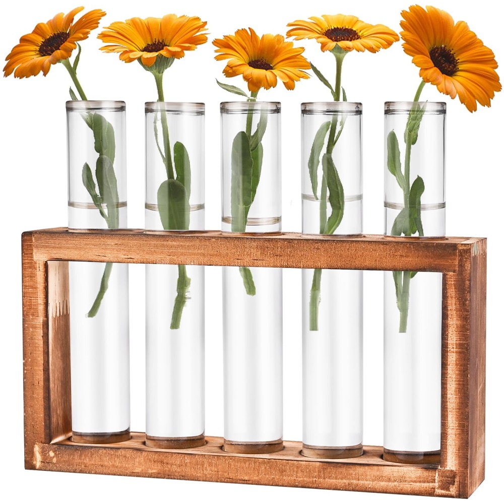 Desktop Glass Plant Propagation Station with 5 Test Tubes in Wooden Stand - H...