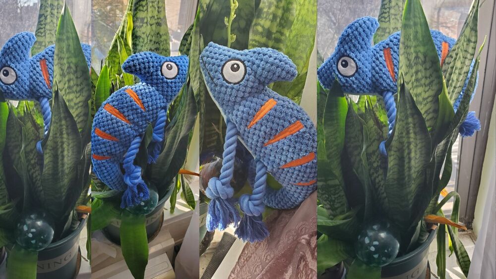 Cute Durable Dog Toy Blue Dogsofinstagram/ Best Dog Toys. Buy Now. Rope Plush.-image