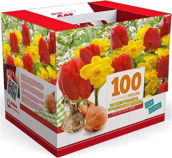 Vibrante mezcla de bombillas de tulipán y narciso de 100 unidades - Caja de transporte colorida para todos los jardines