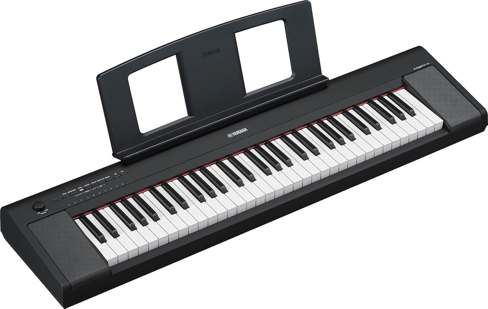 61-Key Piaggero Ultra-Portable Digital Piano, Black (NP15B)