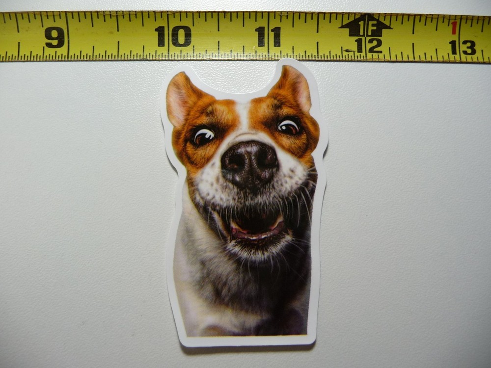 RAT TERRIER WAITING TREAT FUNNY DOG DECAL STICKER PET PLAY FURBALL